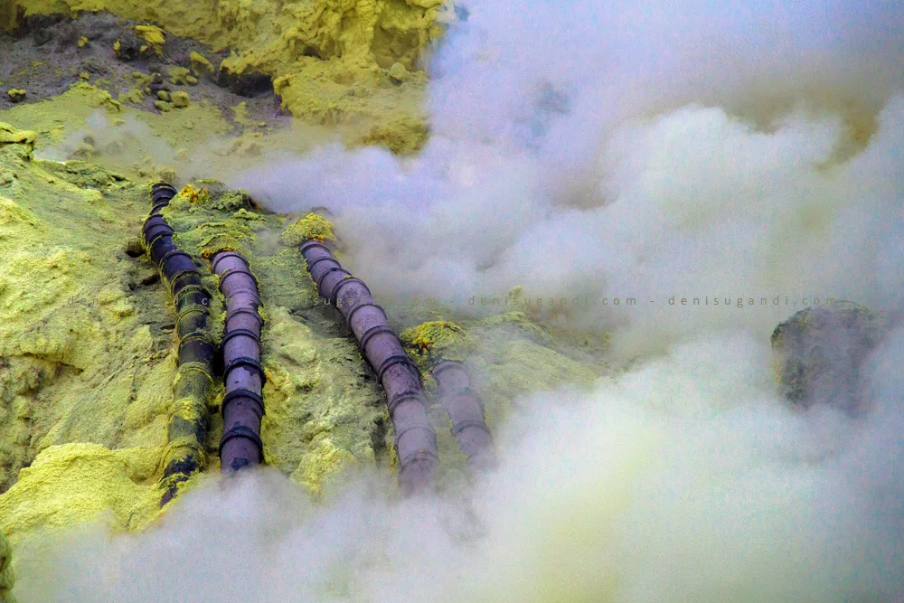 open trip ijen, open trip kawah ijen, jalan jalan di banyuwangi, explore banyuwangi, trip banyuwangi, paket wisata banyuwangi, paket wisata murah banyuwangi, ijen, kawah ijen, blue fire kawah ijen, tour banyuwangi, wisata favorit banyuwangi, spot foto di banyuwangi, paket wisata banyuwangi 1 hari, paket wisata banyuwangi 2 hari 1 malam, paket wisata banyuwangi 3 hari 2 malam, paket wisata banyuwangi 4 hari 3 malam, baluran, de-djawatan, pulau merah, teluk ijo, traveling banyuwangi, tempat wisata di banyuwangi